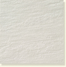 303-QS1